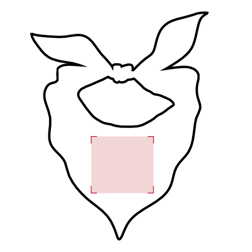 Druckbereich