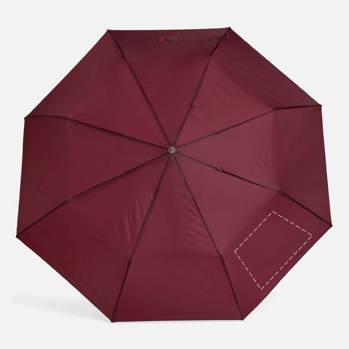 Vorderseite: 50cm²