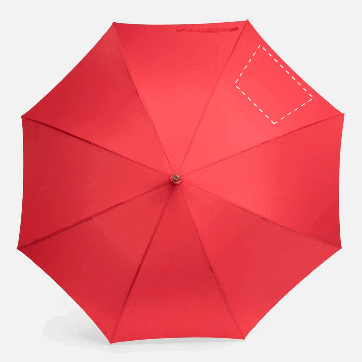 Vorderseite: 50cm²