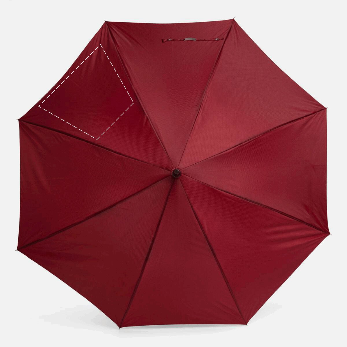 Vorderseite: 50cm²