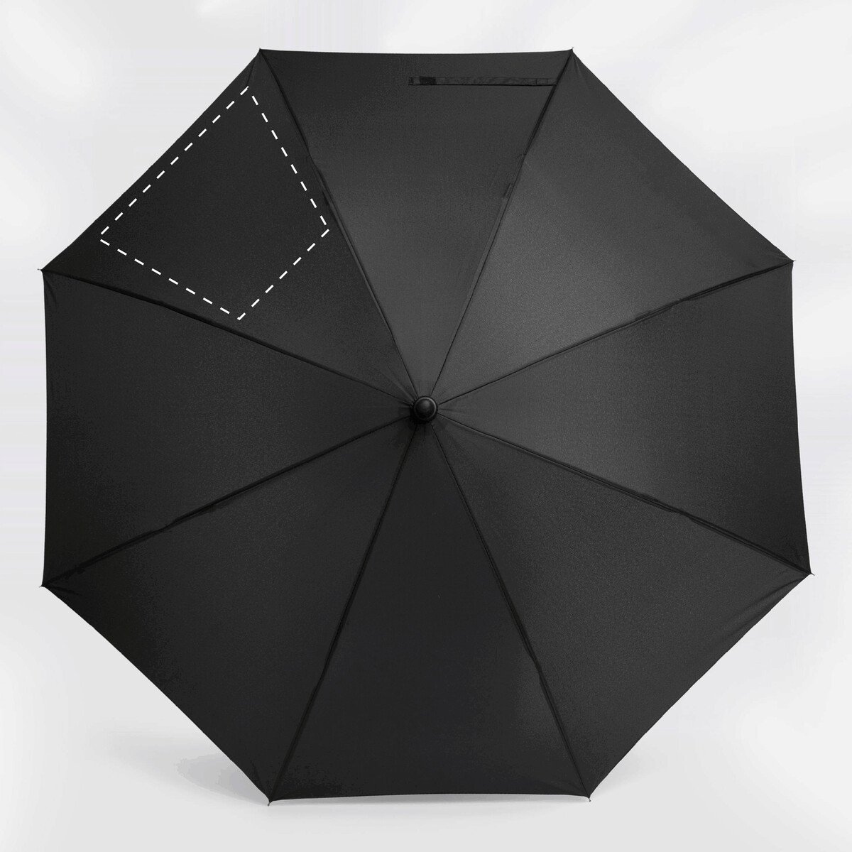 Vorderseite: 50cm²