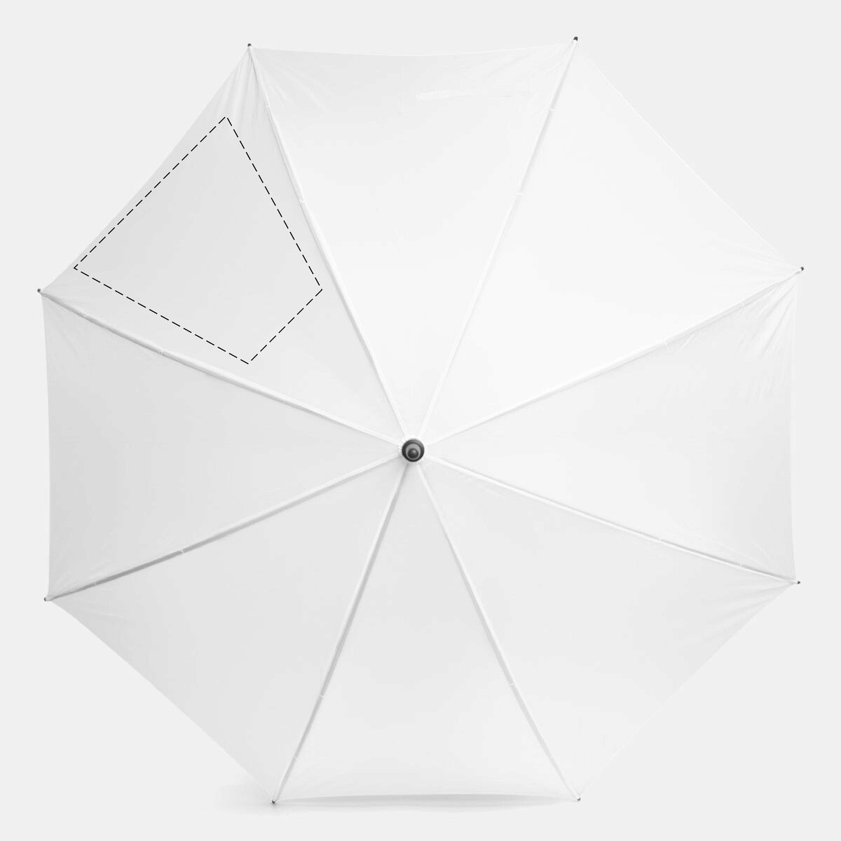 Vorderseite: 300cm²