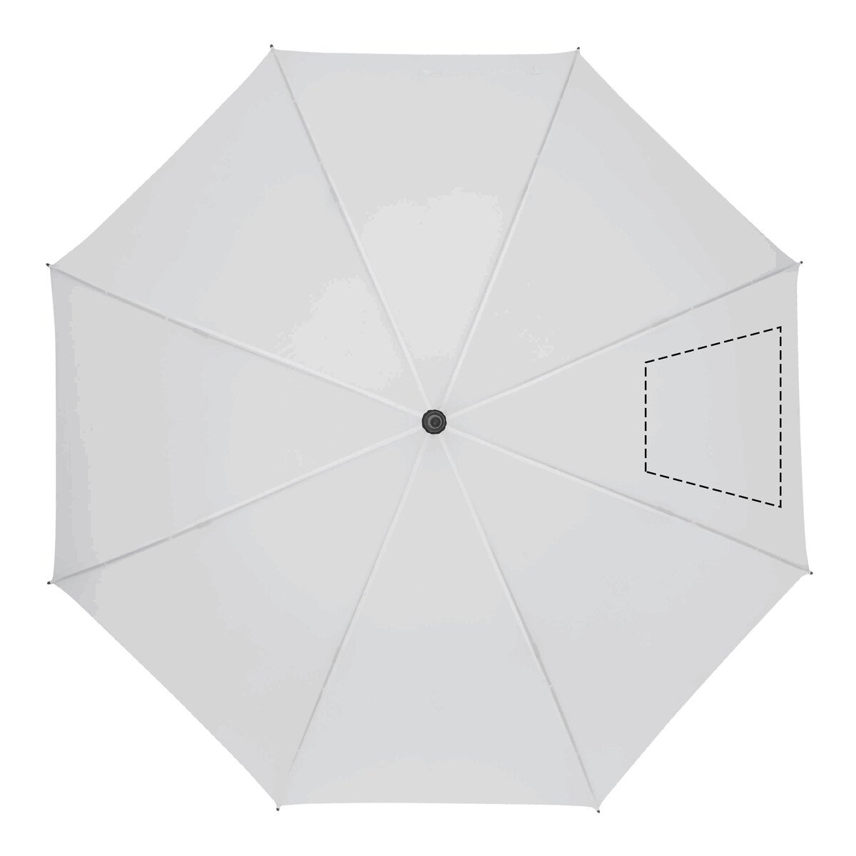 Vorderseite: 50cm²