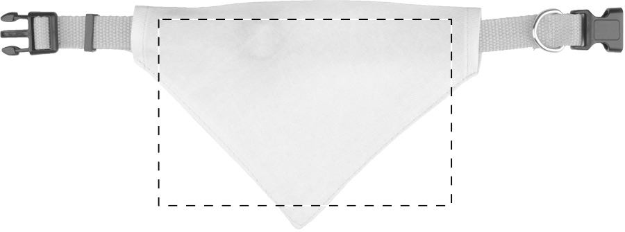 Vorderseite: 150 x 60 mm
