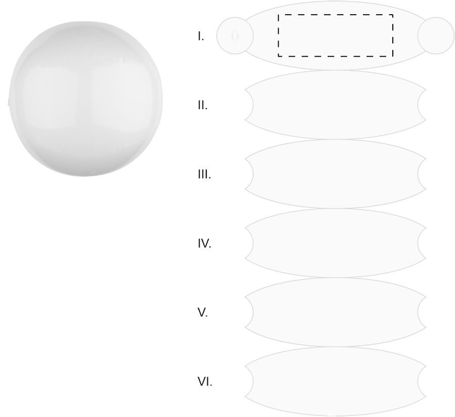 Vorderseite: 120x50 mm
