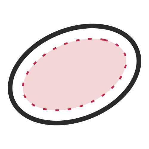 Vorderseite: 40 x 20 mm