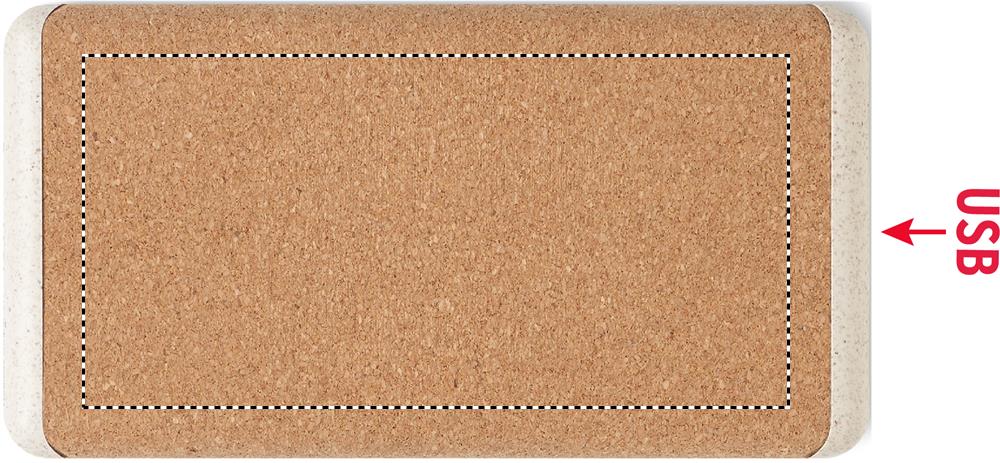 Vorderseite: 110x55 mm