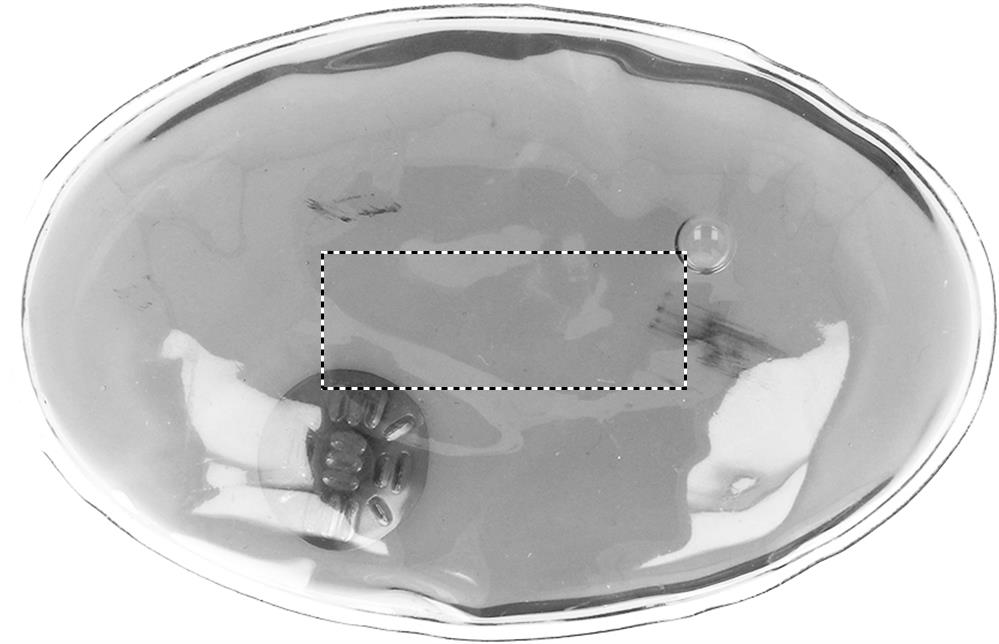 Vorderseite: 40x15 mm