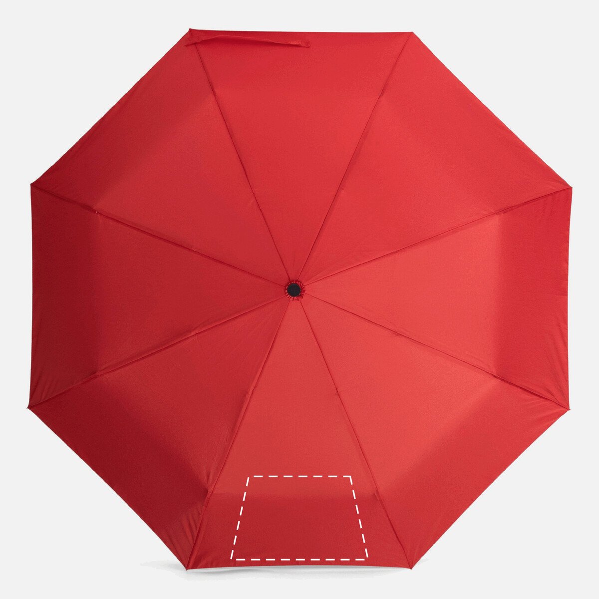 Rückseite: 100cm²