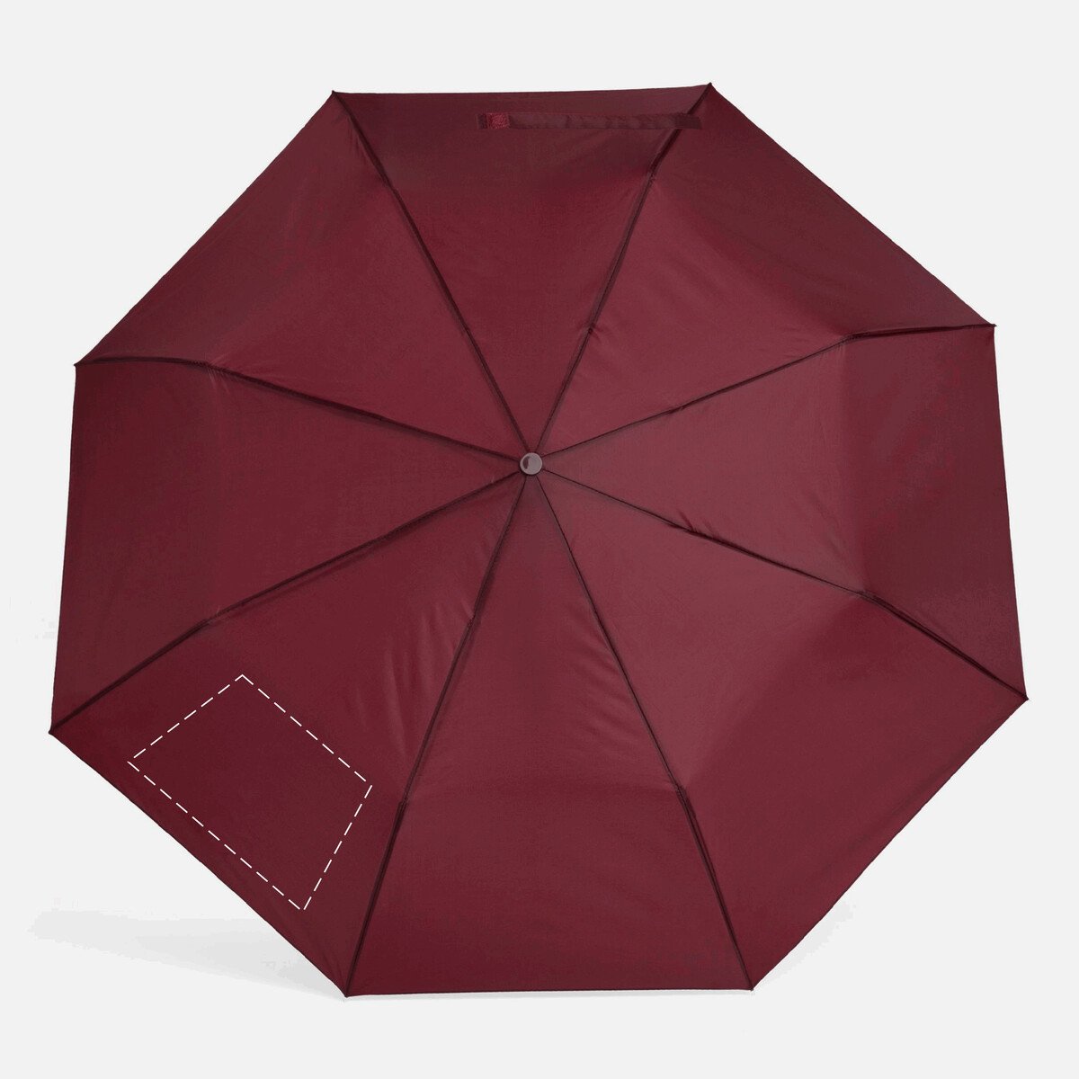 Rückseite: 50cm²