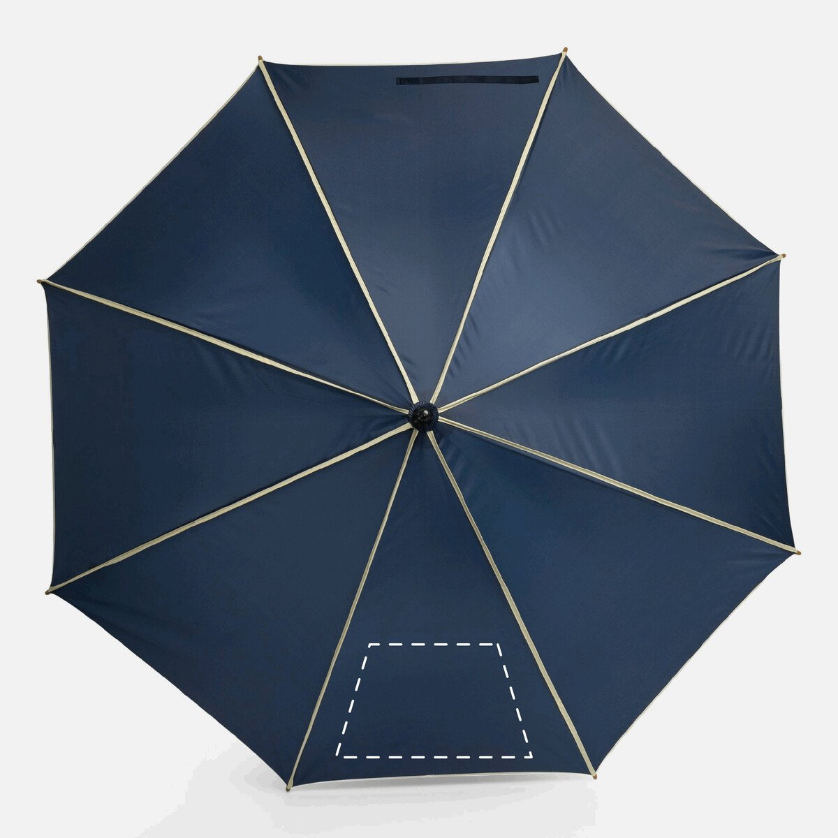 Rückseite: 300cm²