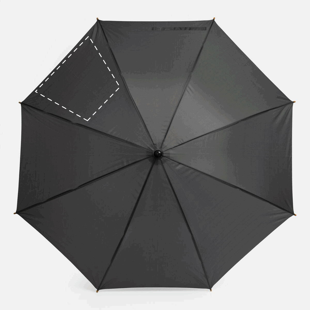 Rückseite: 50cm²