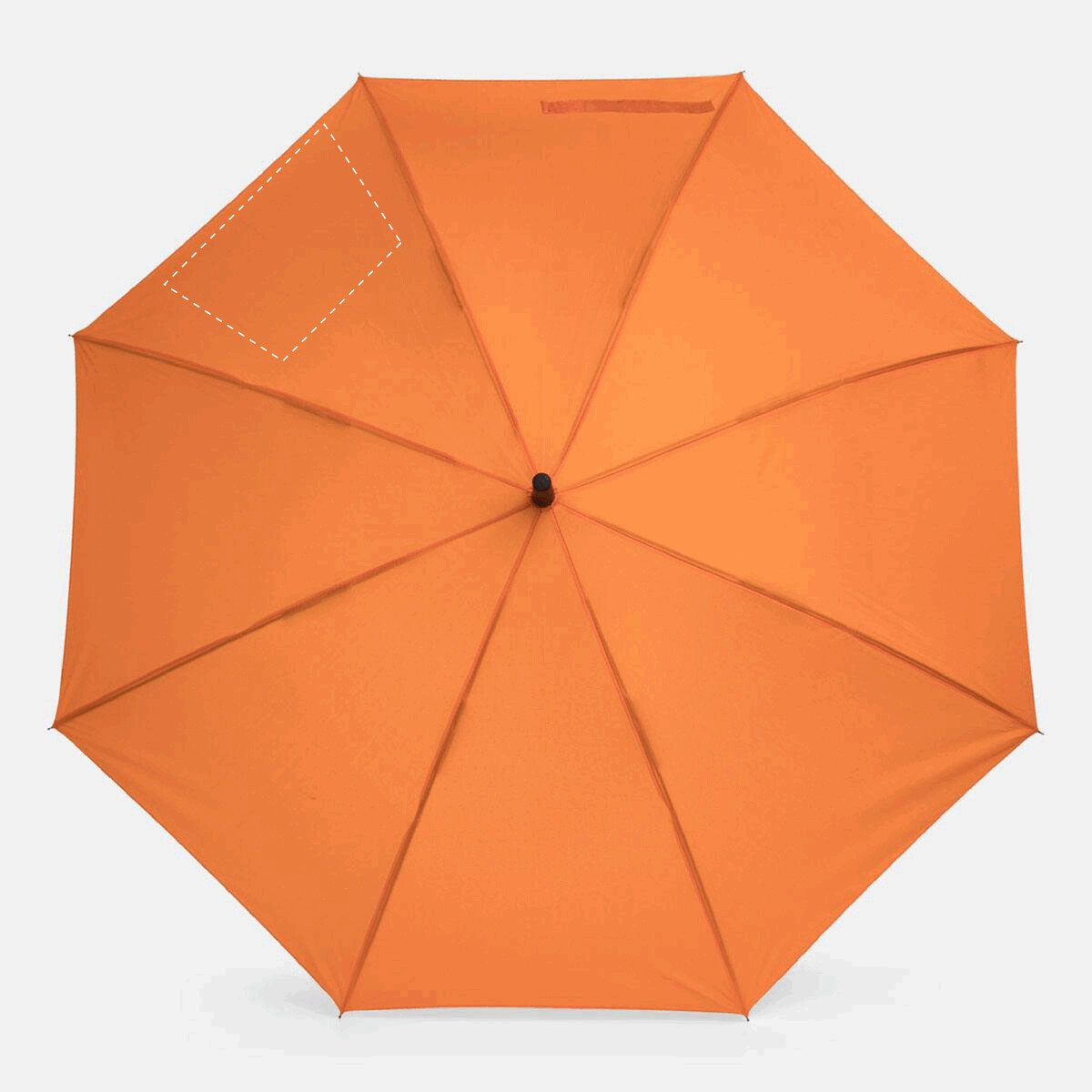 Rückseite: 50cm²