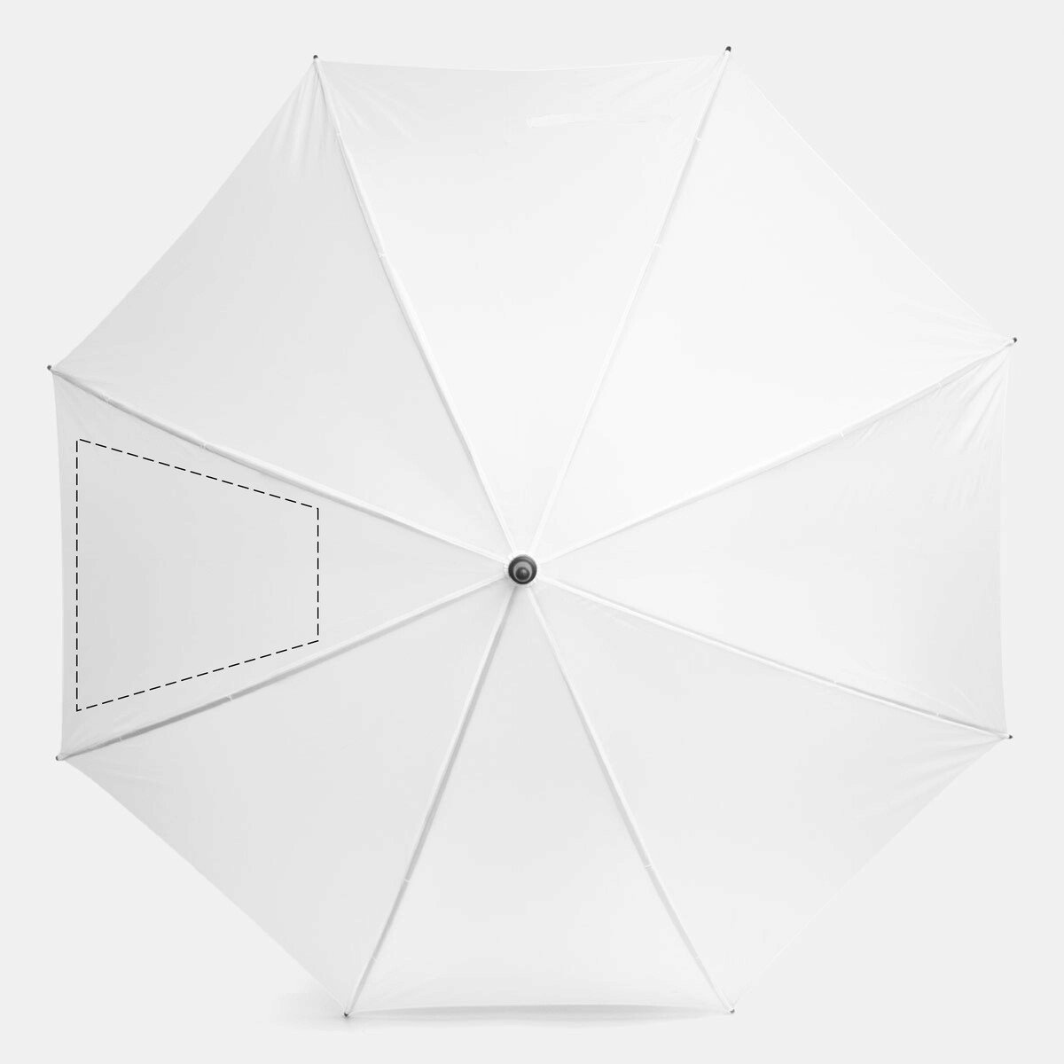 Rückseite: 300cm²