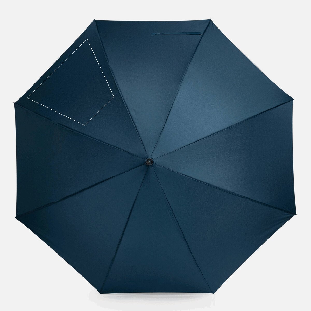 Rückseite: 50cm²