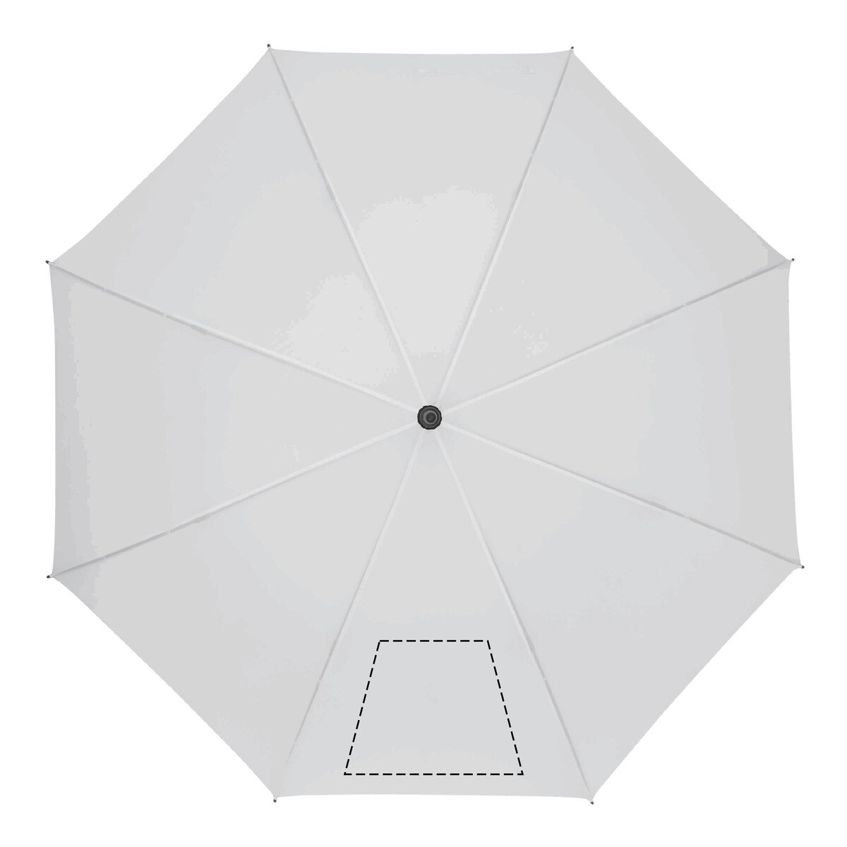 Rückseite: 50cm²