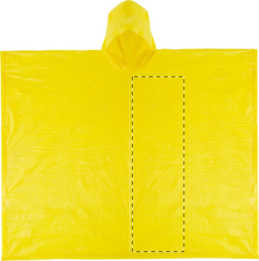 Rückseite: 100 x 150 mm