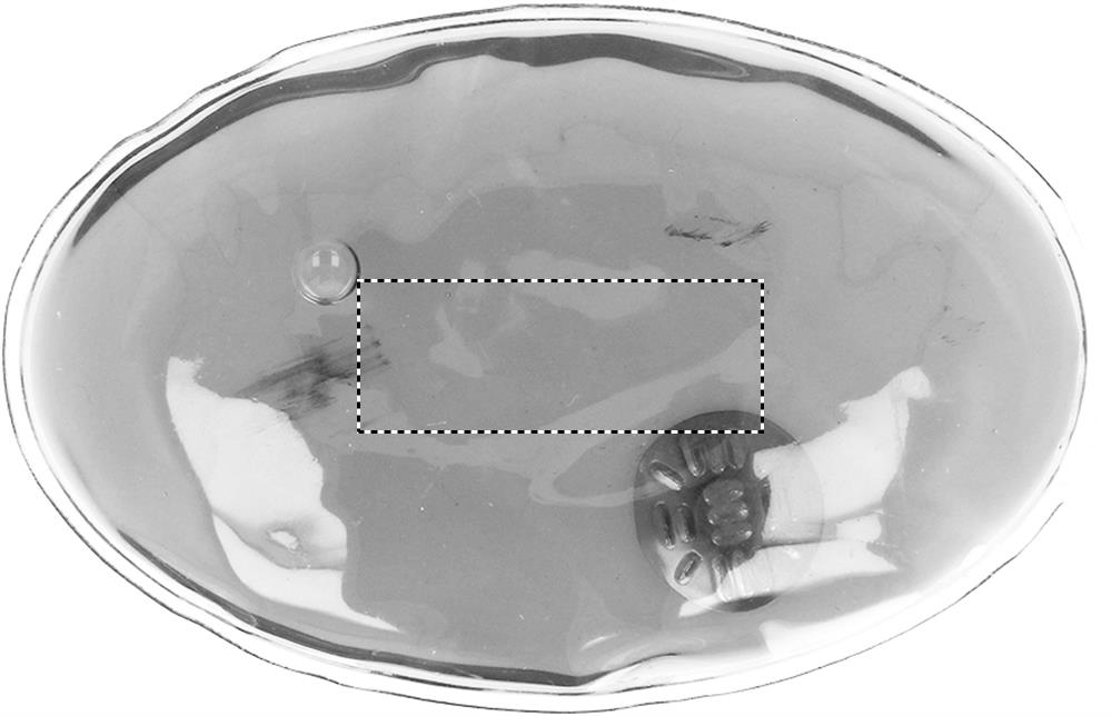 Rückseite: 40x15 mm
