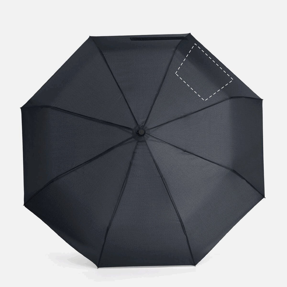 Links: 210/160x140mm (259cm²)