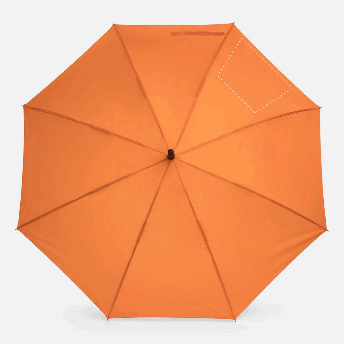 Links: 270/160x200mm (430cm²)