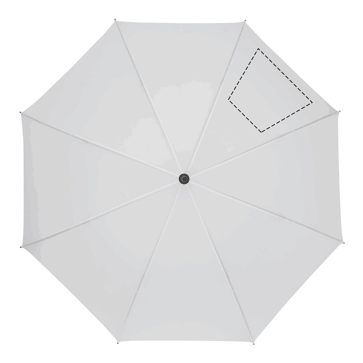 Links: 280/170x210mm (473cm²)